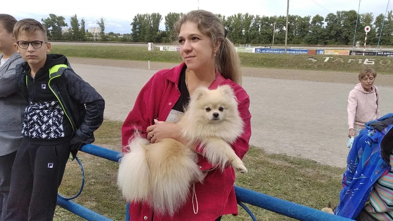 Выставка собак Тамбов. Выставка собак Тамбов 2023. На выставке собак. Тамбовская собака. Выставка собак ростов 2024