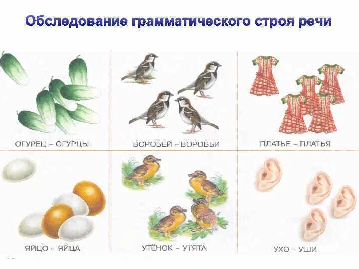 Логопедическое обследование 5 лет. Обследование грамматического строя речи у дошкольников. дидактический материал для обследования грамматического строя речи. обследование лексико-грамматического строя речи детей 5 лет. обследование грамматического строя речи в логопедии.