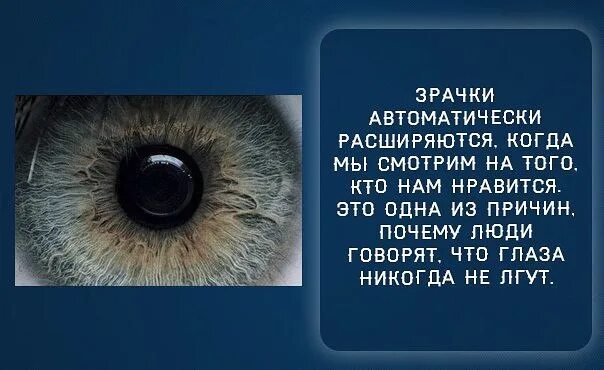 Когда человеку нравится человек расширяются зрачки. Почему ц человееа расширяются храчки. почему значки расшираються. зрачки всегда расширены.