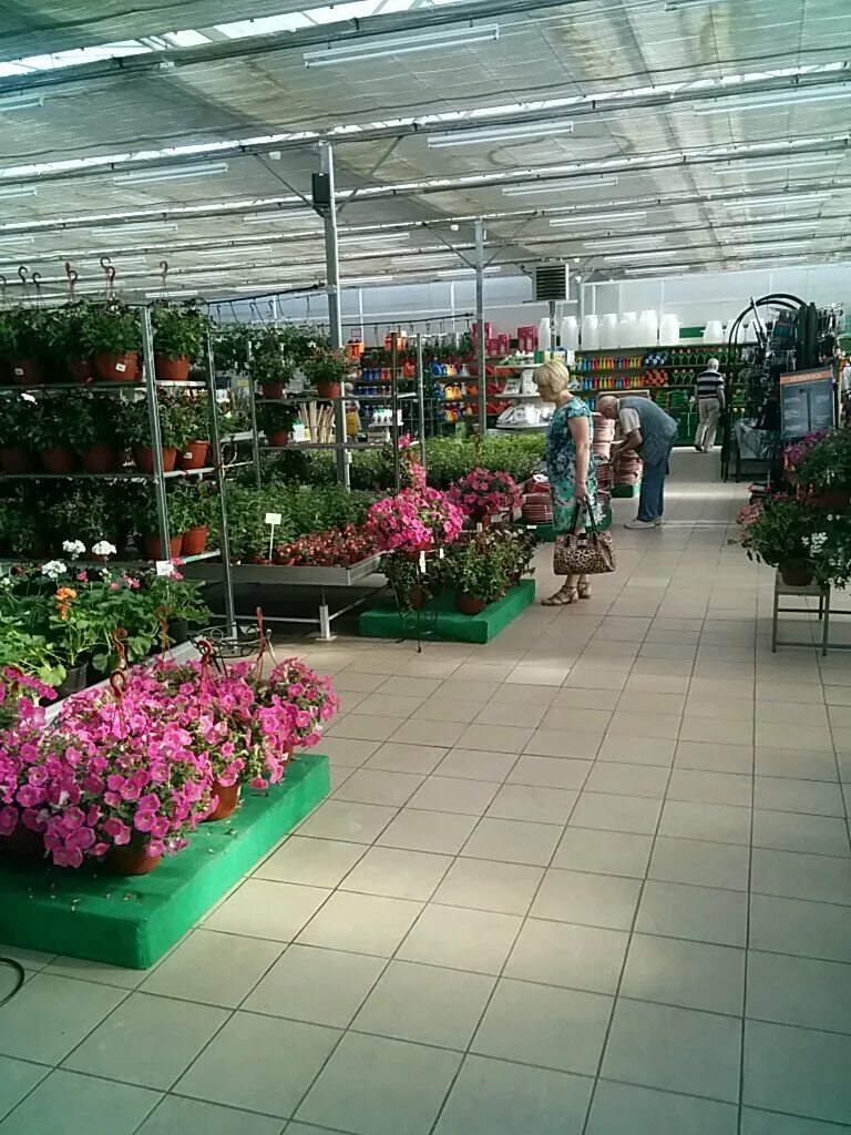 тц сад. садовый рай новая рига. тц садовая галерея магазины. тц сад. 16 парковая оранжерея магазин.