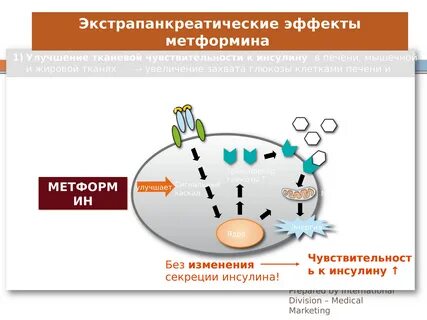 Профилактика сахарного диабета метформином