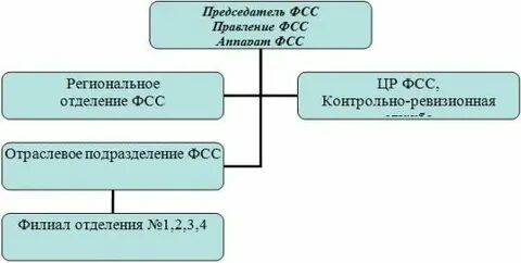 Фонд социального страхования орган власти