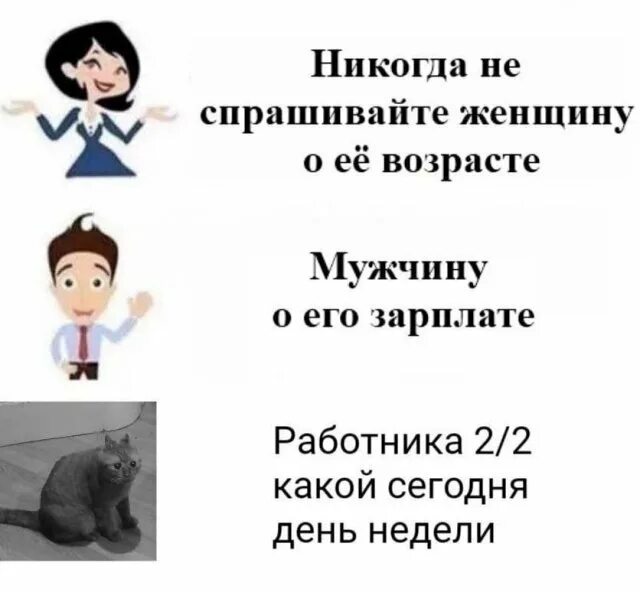 Какой день недели мем Школа Не, не слышали! 10 сентября 2015 в 07:27