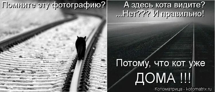 Стихи о советском союзе. Идем правильно потому что. Идем правильно потому что. Идем правильно потому что. Идем правильно потому что.