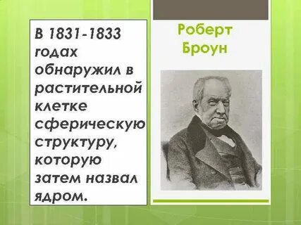 Р броун открытие