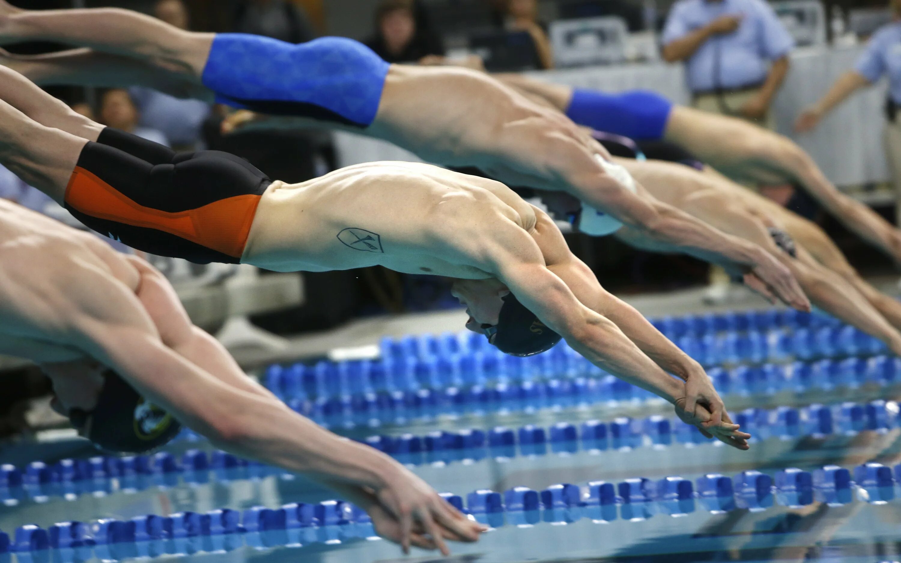 Профессия пловец. Плавание World Aquatics. Пловцы в ряд. Касатка соревнования плавание.