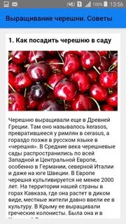 Впр черешни в запущенном саду