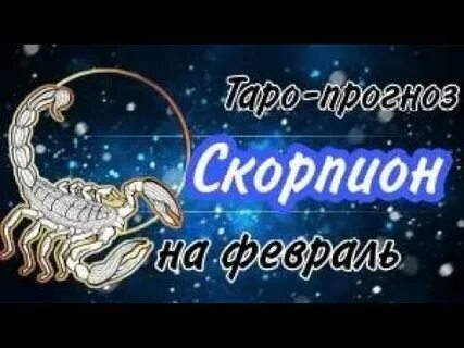Скорпион февраль