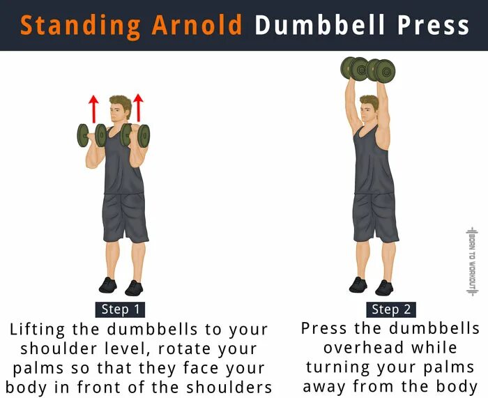 Dumbbell Arnold Press. Standing Dumbbell Press. Dumbbell overhead Press. Arnold Press Dumbbell Shoulders. Standing grip