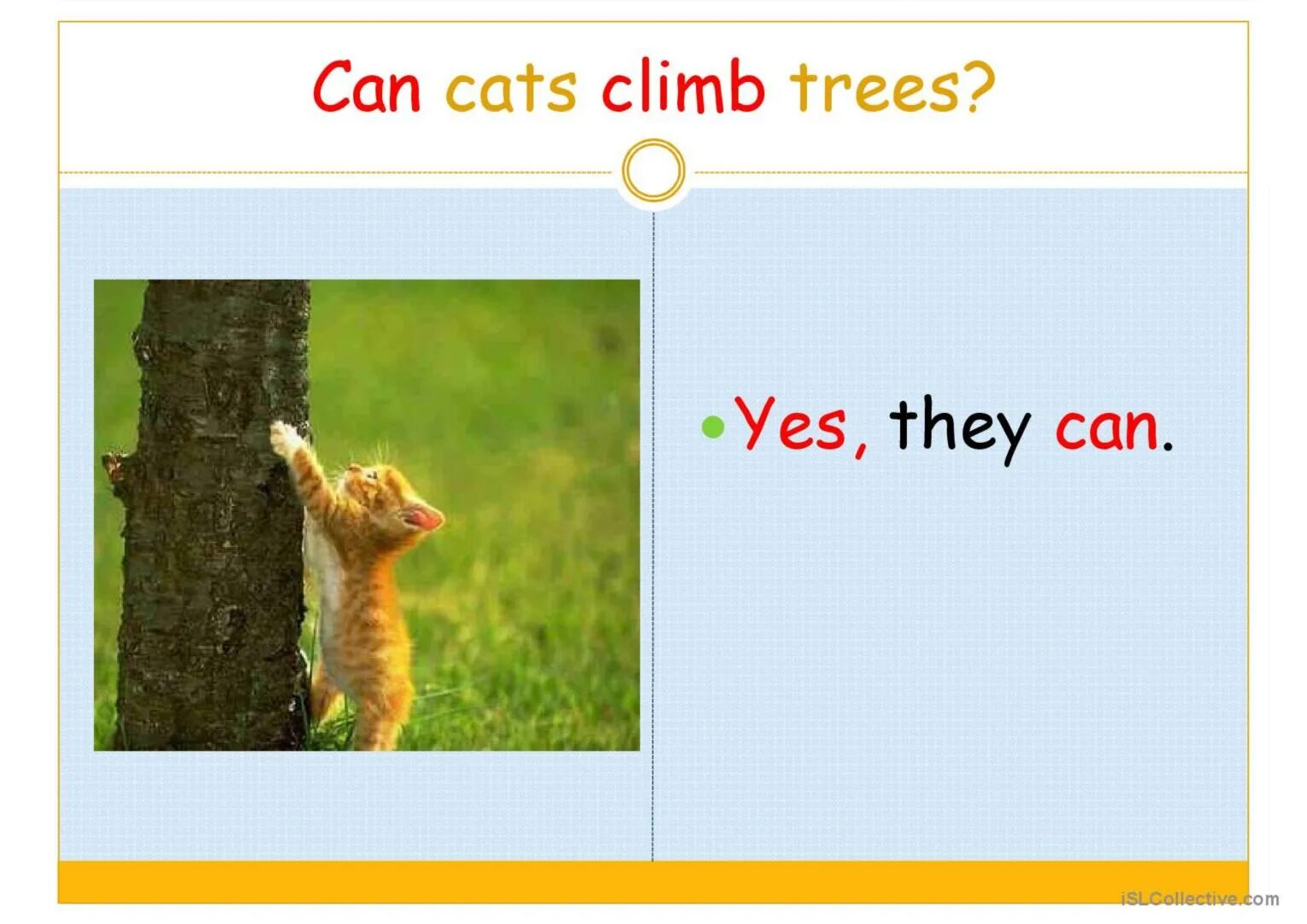 A Cat can Climb. Can Cats Climb Trees. Can Climb животные на английском. The Cat can Climb. Вопрос. Out in the sun i can climb