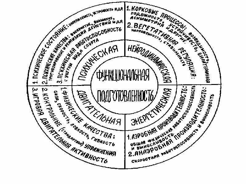 И т д в функционально. Функциональная подготовленность это. Функциональная подготовка спортсмена. Функциональной подготовленности спортсменов. Функциональная подготовка бойцов.