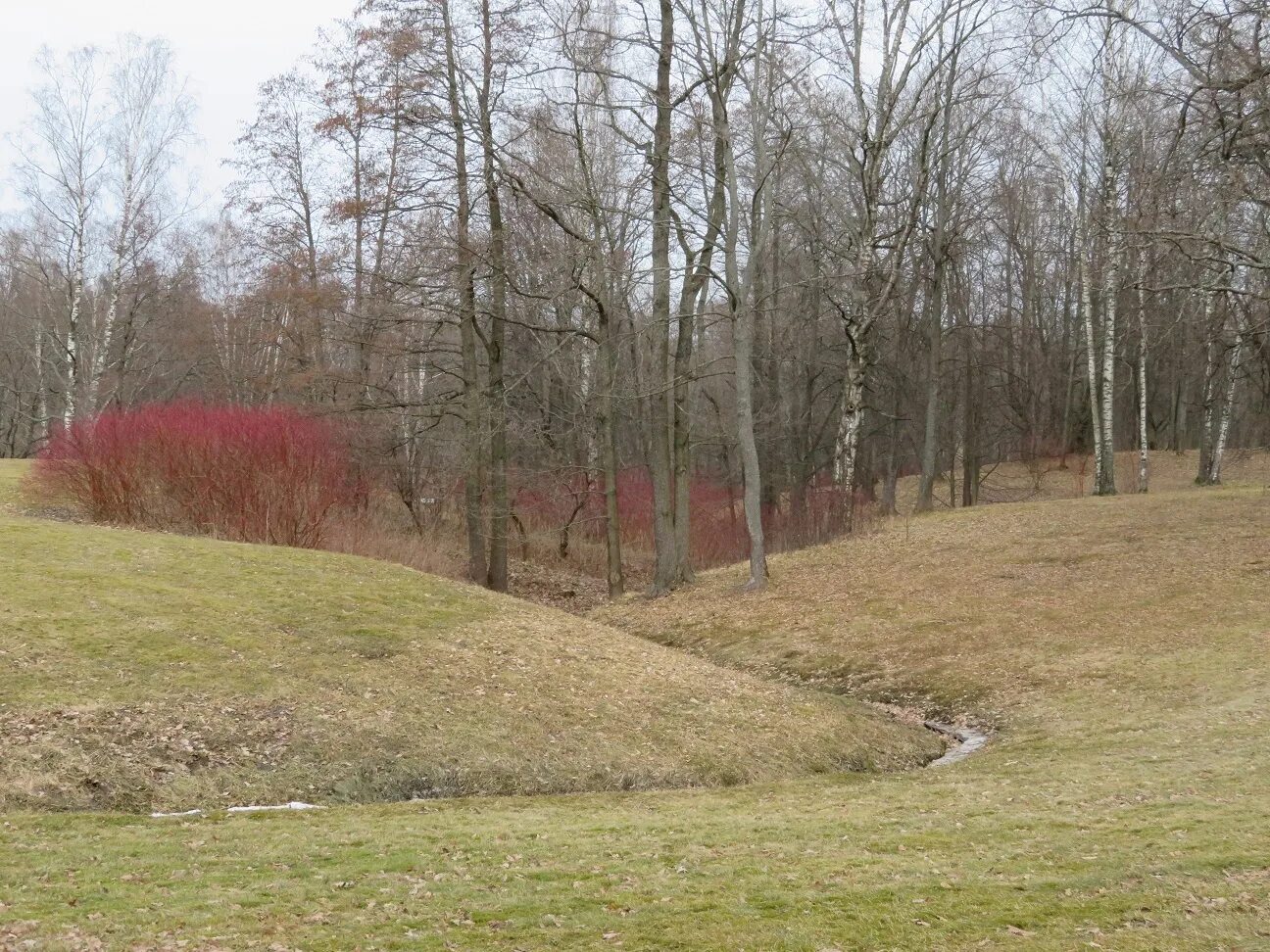 Село Каштановое Симферопольский район. Парк усадьба подвязное Львовский. Пигелево живописный овраг. Парк усадьбы романтическая Александрия. Село каштановое