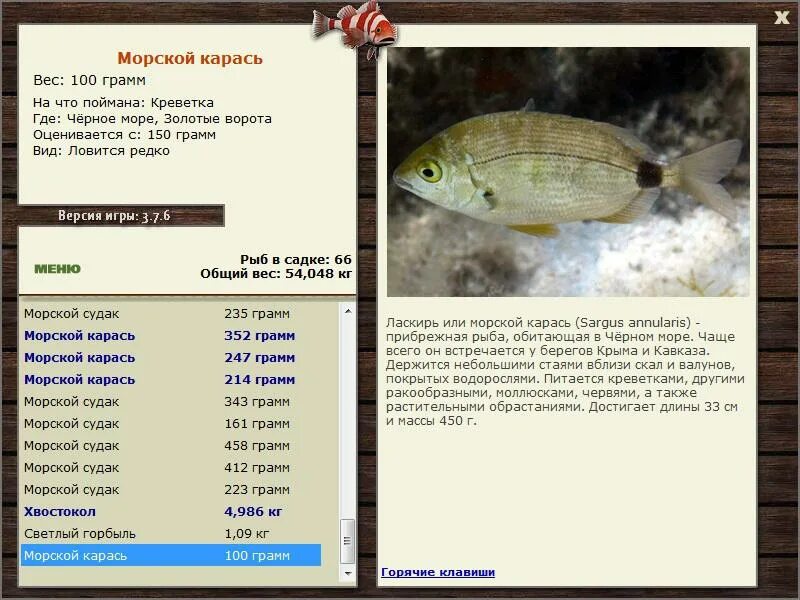 Мой блог. Крым: пляжный ласкирь. 23 сентября 2016 г. Рыболовный блог