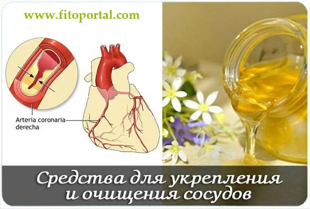 Народных средств укрепляющих сосуды. Средство для очищения сосудов. средство для укрепления сосудов. очищение сосудов народными средствами. препараты для очищения сосудов.