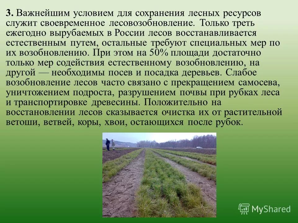 Проект на тему современная система растительного мира Растительный мир видеоурок