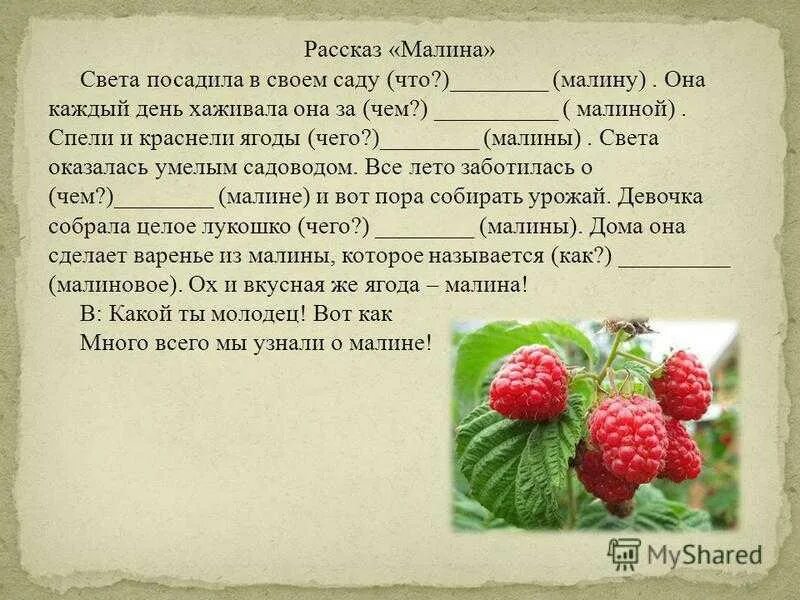 Бабушка с малиной читать полностью. Малина рассказ. Рассказ о Малине. Рассказ про малину. Стихи о Малине.