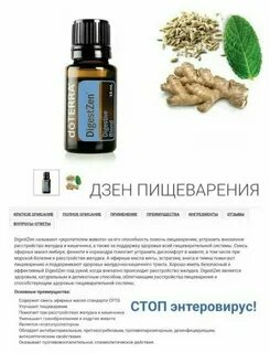 Дзен описание