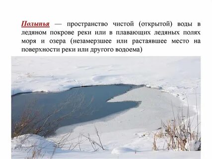 Что такое полынья