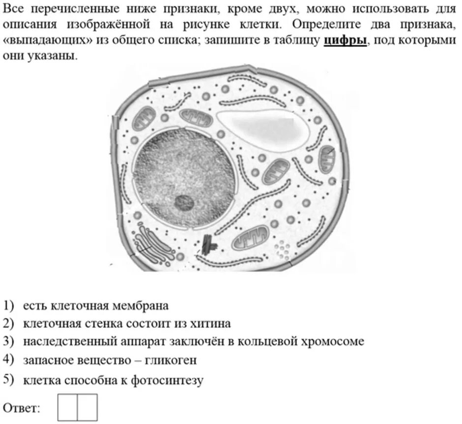 Верны ли суждения о строении грибной клетки. Грибная клетка. Строение грибной клетки ЕГЭ. Строение клетки гриба. Грибная клетка ЕГЭ.