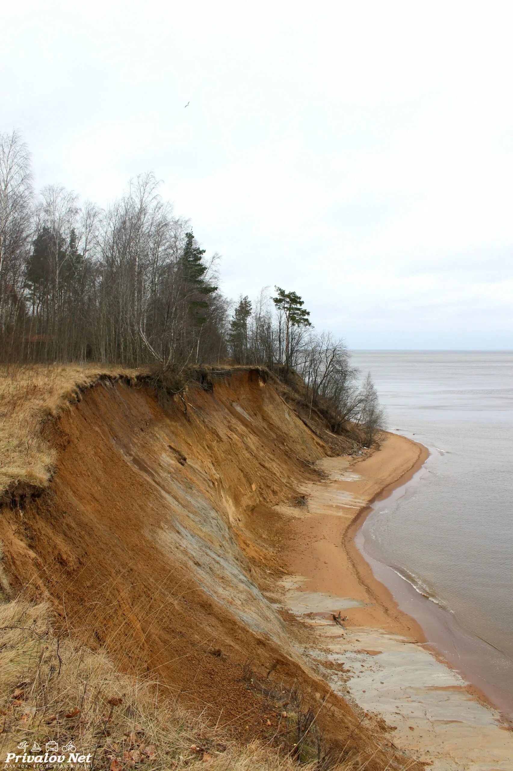 Красногорский обрыв Лебяжье. Форт красная горка обрыв. Берег финского залива красная горка. Форт красная горка финский залив. Привалов нет