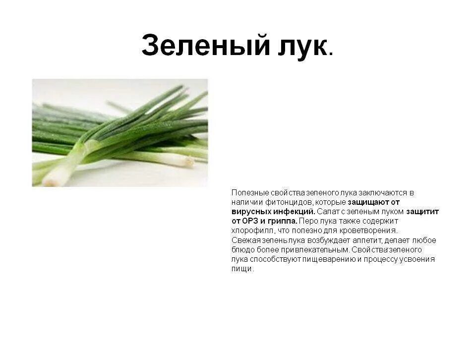Полезен ли зеленый лук. Зеленый лук полезные свойства. Для чего полезен зеленый лук. Чем полезхень зелёный лук.