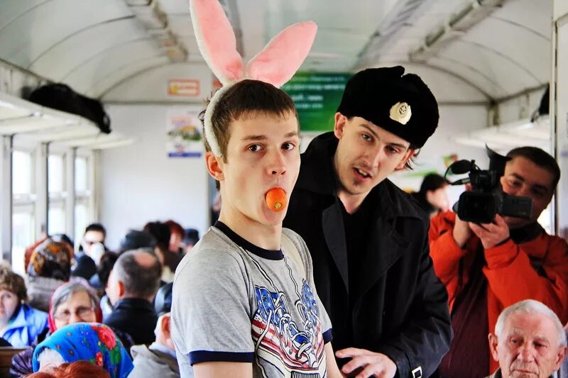 Штраф за проезд без билета в автобусе. Заяц безбилетник. заяц в автобусе. зайцы в общественном транспорте. зайцы в электричках.