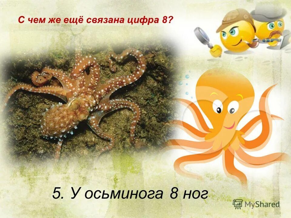 У осьминога только восемь ног подчеркните буквы. У осьминога только восемь ног подчеркните буквы. Русский язык 2 класс рабочая тетрадь 1 часть стр 62. Русский язык 2 класс рабочая тетрадь 1 часть стр 62. У осьминога только восемь ног подчеркните буквы.