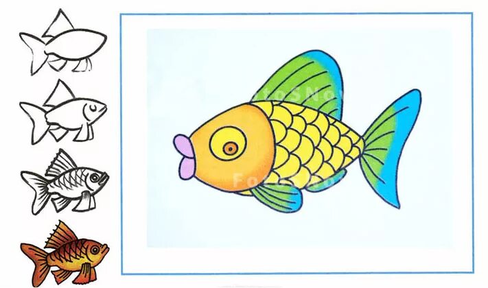 Рисование рыбы. Рыба рисунок. Рисунок рыбы 1 класс. Рыбы 1 класс окружающий мир.