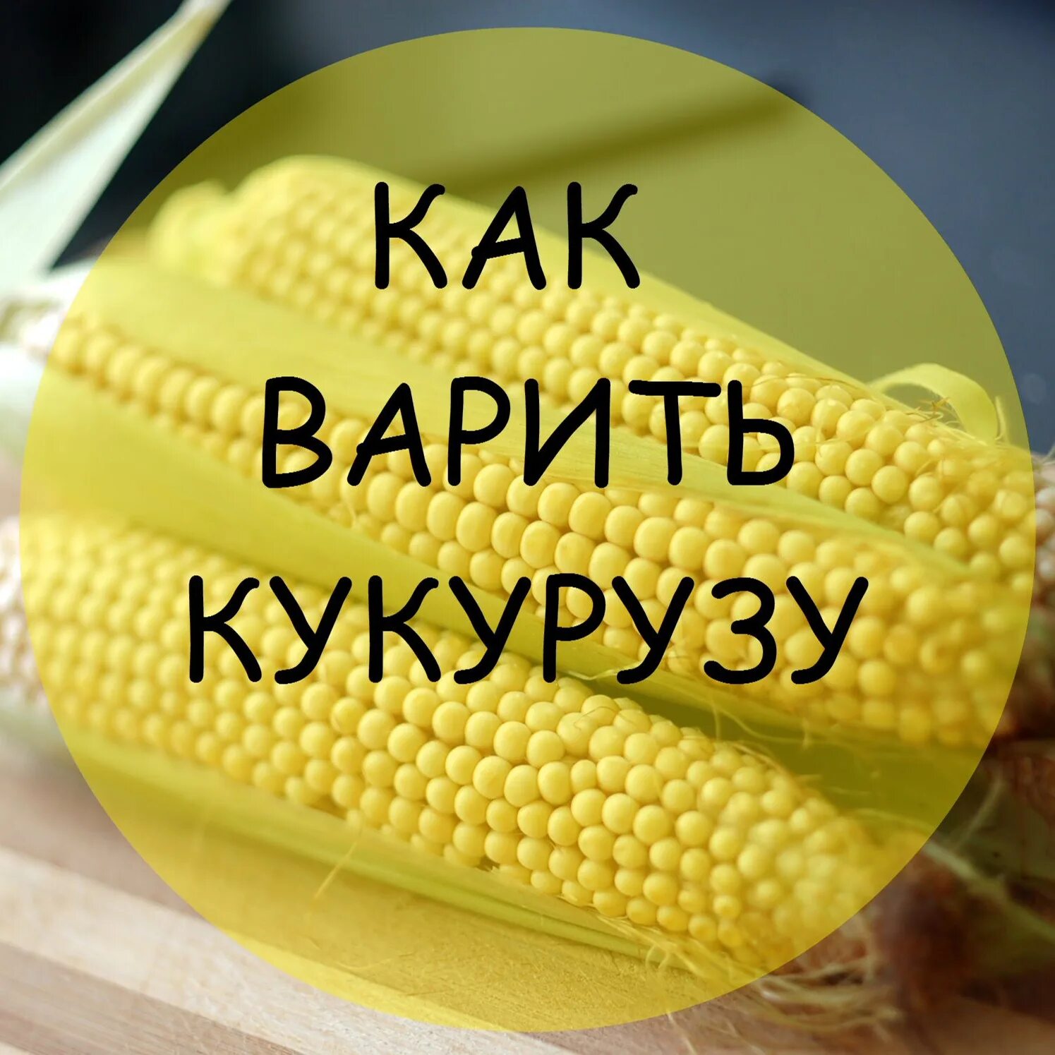 Сколько времени варится кукуруза в кастрюле. Вареная кукуруза. как варить кукурузу. полезные свойства кукурузы. кукуруза в воде.