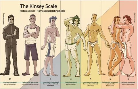 Where does /fit/ fall on the kinsey scale? - /fit/ - Fitness - 4archive.org...