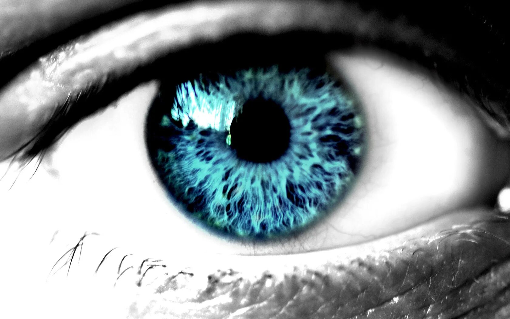 Что означают синие аватарки. Голубые глаза. Красивые глаза. Синие глаза. Зрачок глаза.