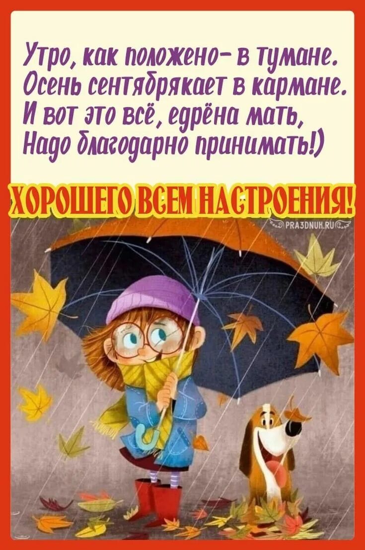 Веселые осенние с юмором добрыми картинки. Настроение осень. для настроения в дождливый день. хорошего настроения в дождливую осень. анимированные осенние зонтики.