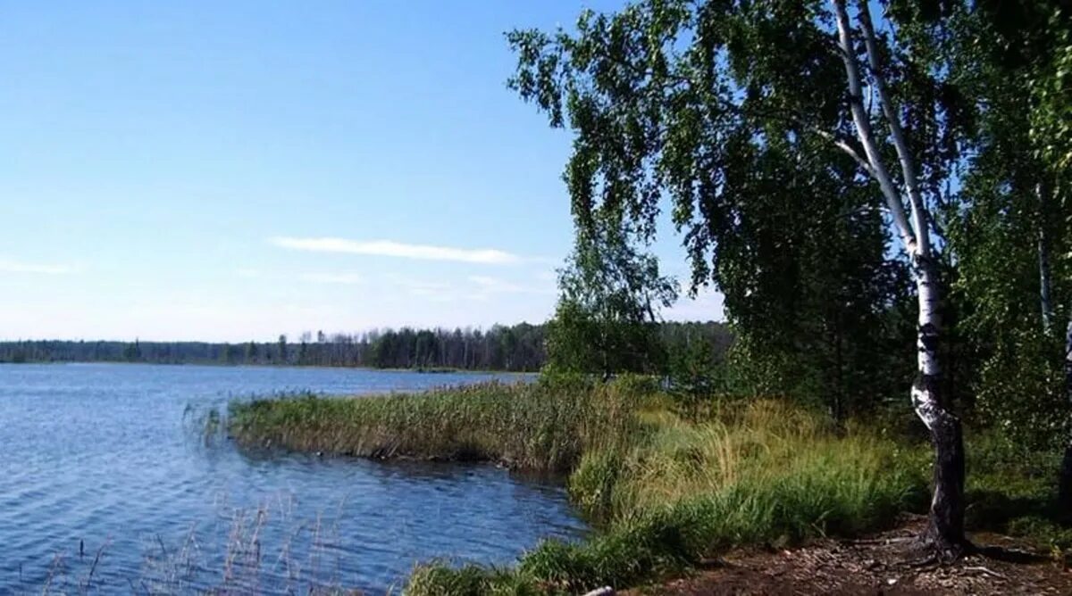 Озеро Западное Южский район. Озеро Западное Ивановская область Савинский район. Озеро Сахтыш Ивановская область. Озеро Западное Ивановская область Южский район. Озеро д остров