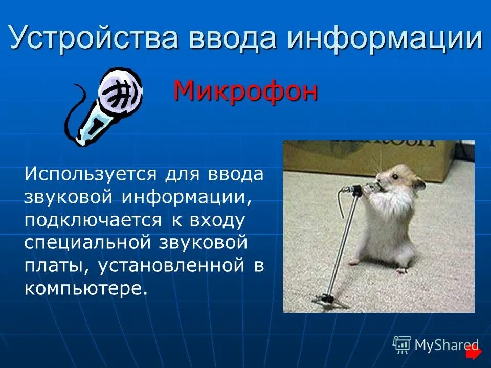 Устройства ввода клавиатура мышь. Какой вид информации можно ввести при помощи микрофона. Устройства ввода графической, звуковой и видеоинформации. Микрофон устройства ввода не найдены. Клавиатура мышь микрофон.