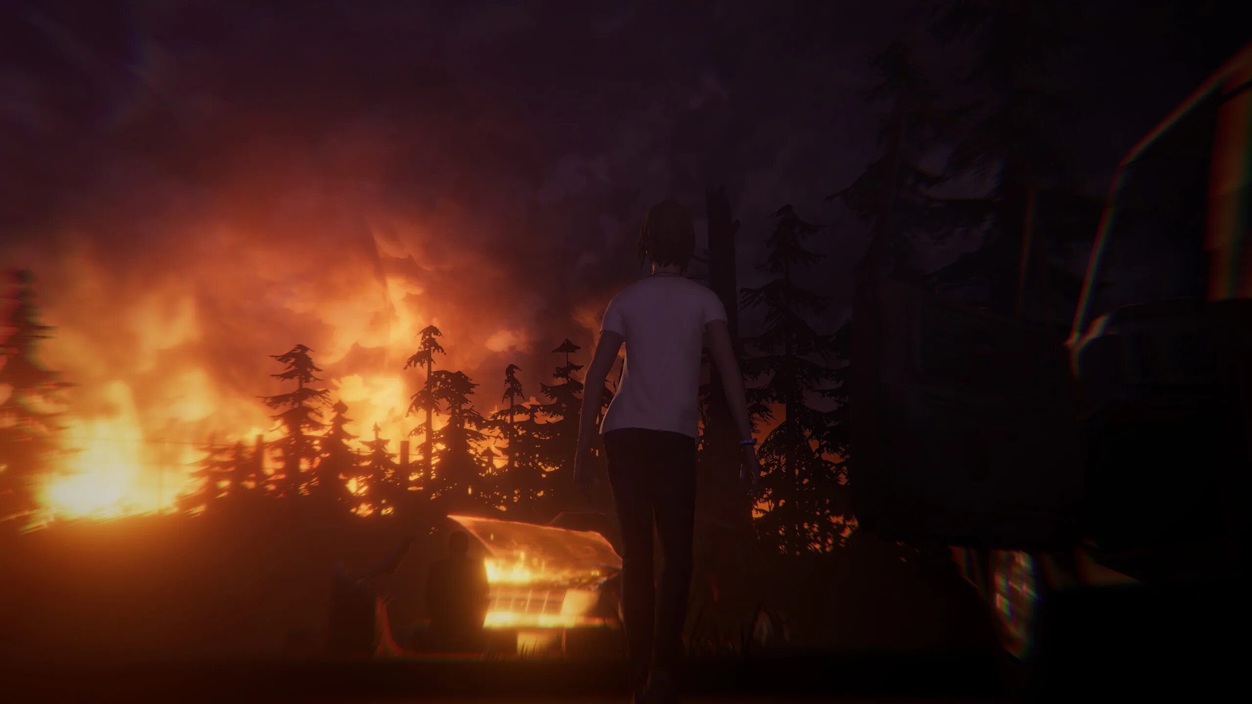 Лайф зе стрендж бефор зе шторм. Life is Strange: before the Storm. Life is Strange before the Storm пожар. Life is Strange before the Storm обои. Life is Strange горящий лес.