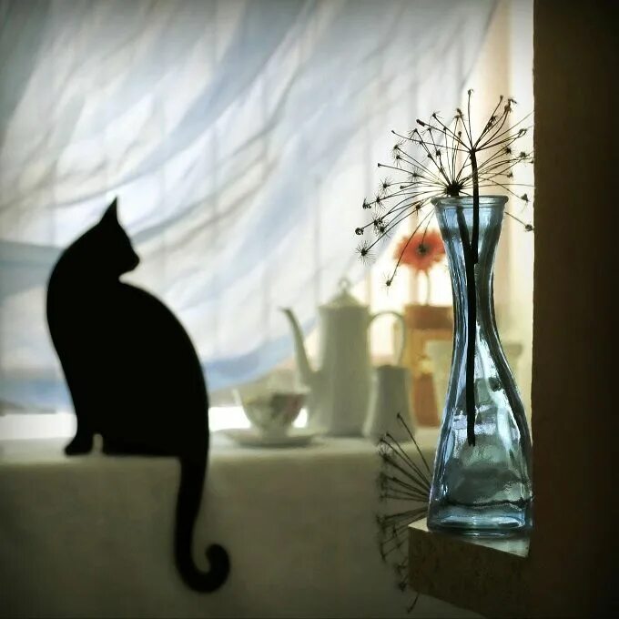 Кошка за окошком песня. Картины с кошками. Детские загадки про кошку. Аппликация кошка на окошке. Светит солнышко в окошко на окне мурлычет кошка рядом куколка сидит.