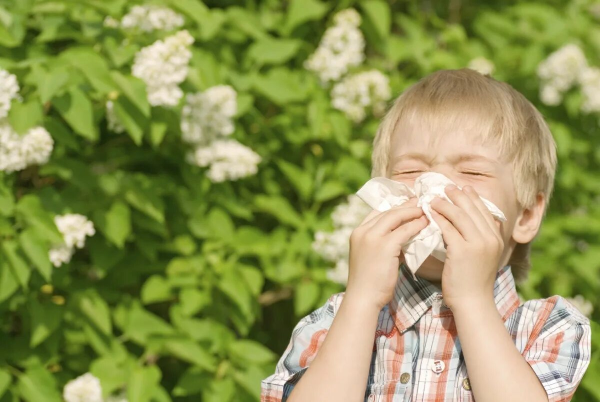 Человек страдающий аллергией. Поллиноз Сенная лихорадка у детей. Аллергия на пыльцу.