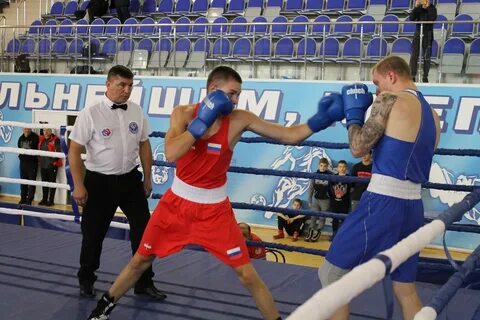 Спортсмены по боксу