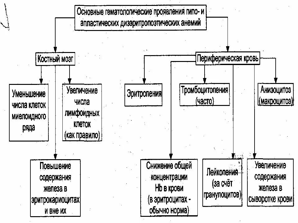 Патологии системы крови. Патология системы крови кластер. Патогенетическая классификация анемий. Классификация патологий системы крови у животных. Определение количественного и качественного состава крови