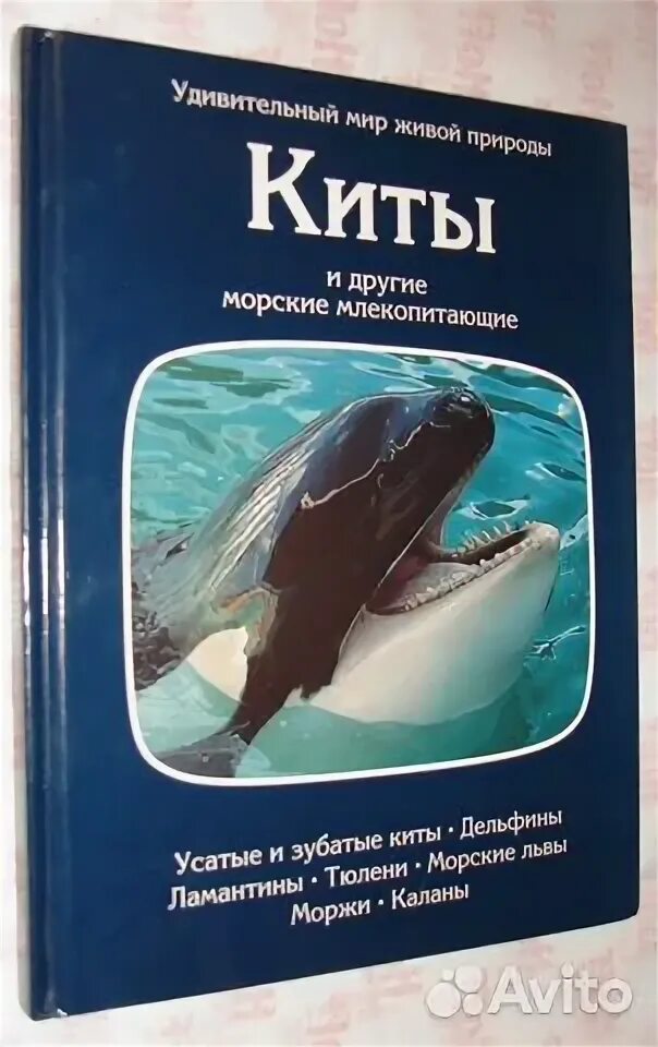 Кит на заклание книга. Книги о китах для детей. Книги о китах для детей художественные. Кит и другие морские животные книга. Книги о морских млекопитающих.