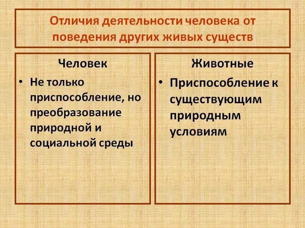 Отличие человека от других существ. Главное отличие человека от других существ. Отличия деятельности. Отличие человека от других живых существ кратко. Что может отличать человека от других