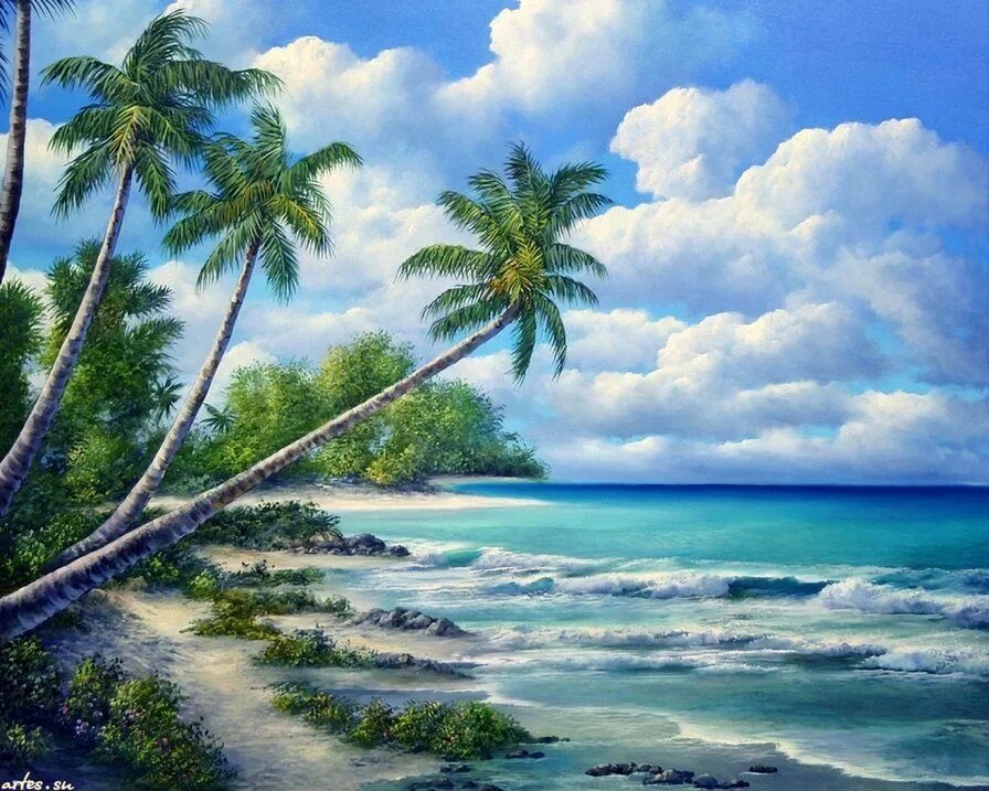 Картины море пальмы