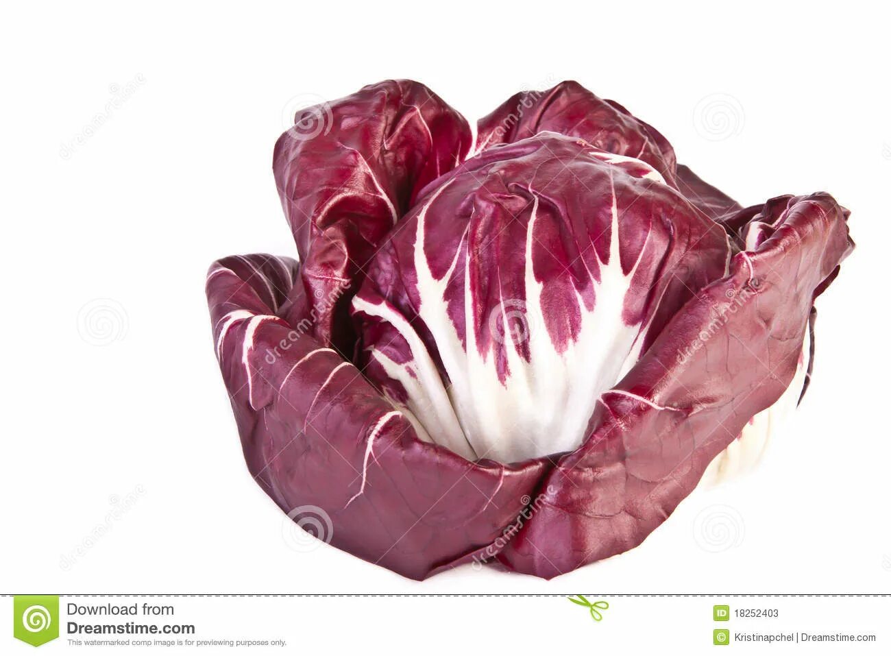 Радичио салат фото как выглядит. Radicchio Stock Image CartoonDealer com 21102319.