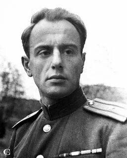 Долматовский котик
