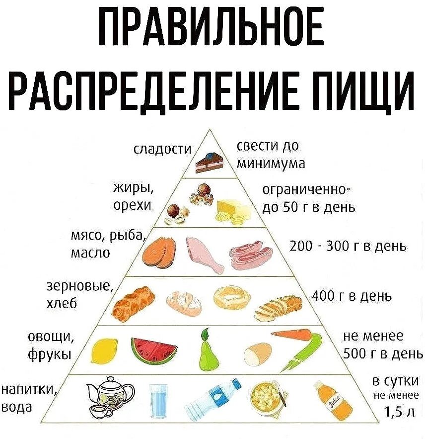 Пирамида питания. Правильное питание. Пирамида правильного питания. Рацион здорового питания. Таблица питания на каждый день