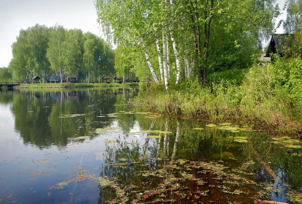 Река Игуменка Кострома. Река Покша Кострома. Костромка река в Костроме. Речка Игуменка Кострома. Реки озера костромской области