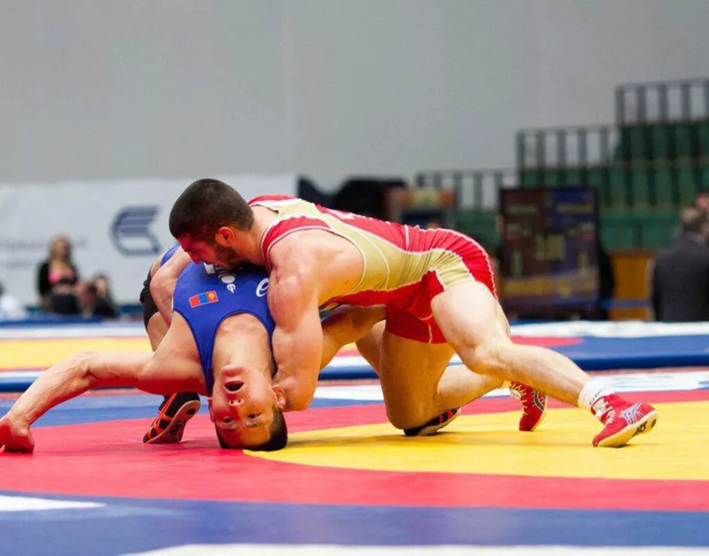 вольная борьба последние новости