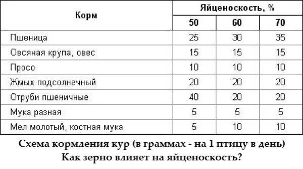 Курица несушка корм в сутки. Таблица рациона кормления кур несушек. Рацион для кур несушек таблица. Нормы кормления кур несушек. Рацион корма кур несушек таблица.