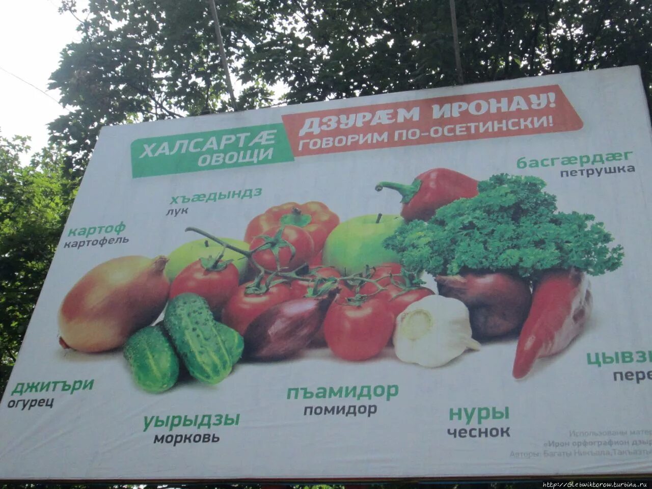 Список фруктов. Овощи на осетинском. Овощи и фрукты на татарском языке. Овощи на англ с транскрипцией. Овощи на осетинском.