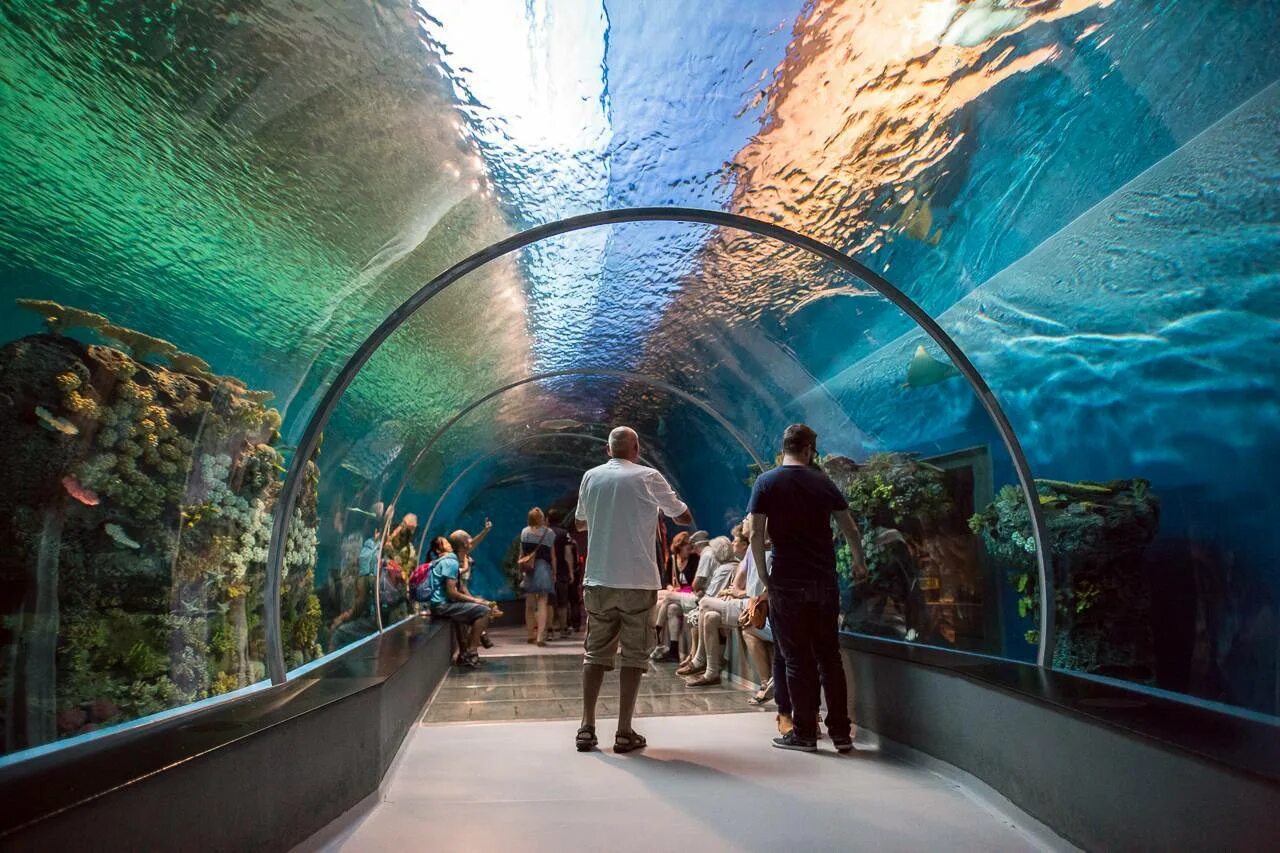 Окинава океанариум Тюрауми. Анапа, океанариум Ocean Park. Океанариум Батискаф Анапа.